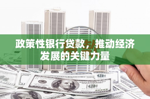 肥乡政策性银行贷款，推动经济发展的关键力量