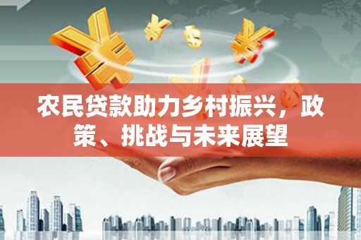 肥乡农民贷款助力乡村振兴，政策、挑战与未来展望