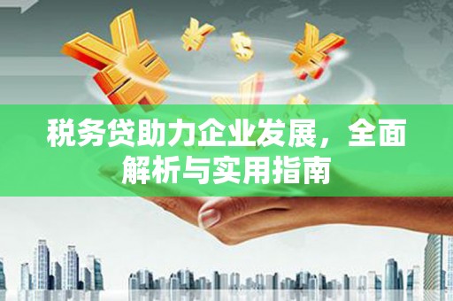 肥乡税务贷助力企业发展，全面解析与实用指南