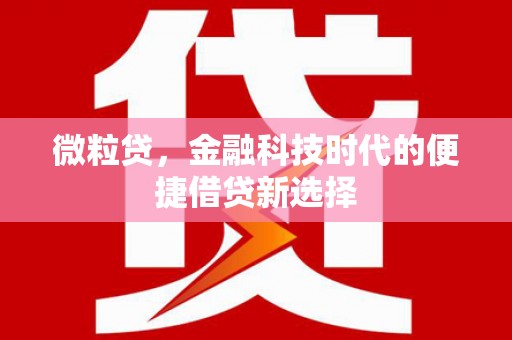 肥乡微粒贷，金融科技时代的便捷借贷新选择