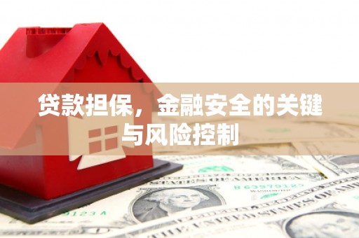 肥乡贷款担保，金融安全的关键与风险控制