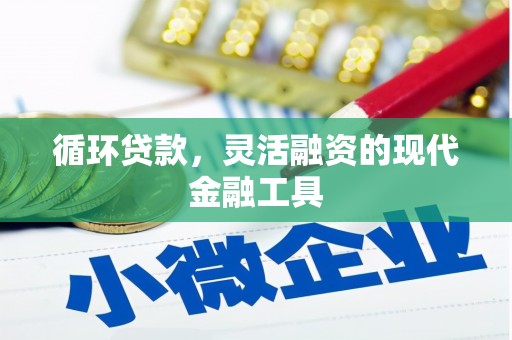 肥乡循环贷款，灵活融资的现代金融工具