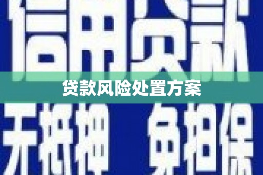 肥乡贷款风险处置方案