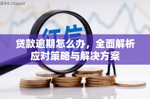 肥乡贷款逾期怎么办，全面解析应对策略与解决方案