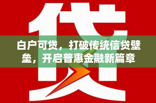 肥乡白户可贷，打破传统信贷壁垒，开启普惠金融新篇章