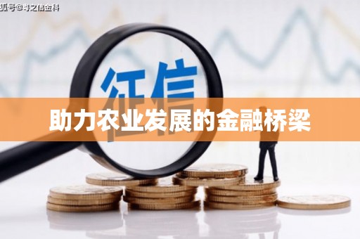肥乡助力农业发展的金融桥梁