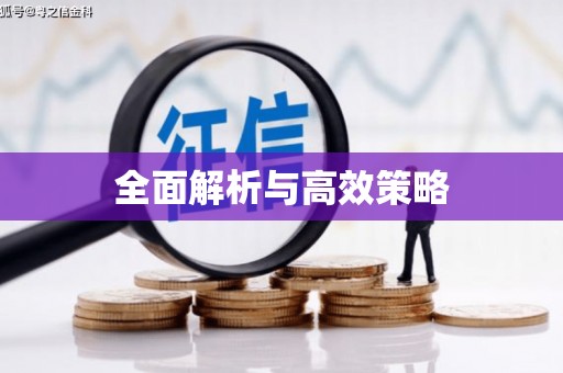 肥乡全面解析与高效策略