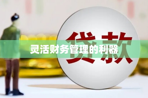 肥乡灵活财务管理的利器