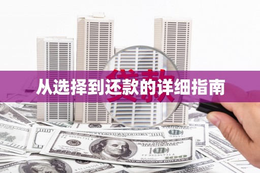 肥乡从选择到还款的详细指南