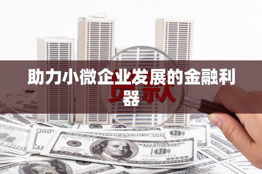 肥乡助力小微企业发展的金融利器