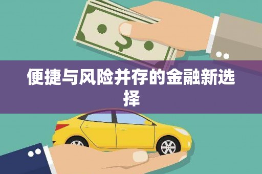 肥乡便捷与风险并存的金融新选择