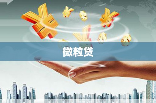 肥乡微粒贷
