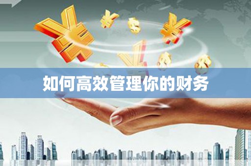 肥乡如何高效管理你的财务