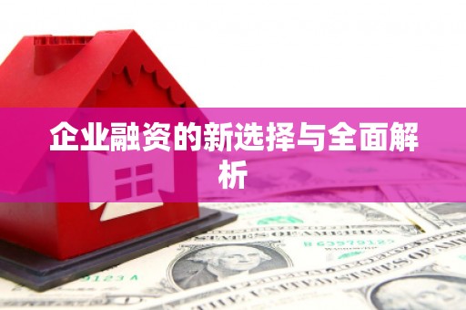 肥乡企业融资的新选择与全面解析