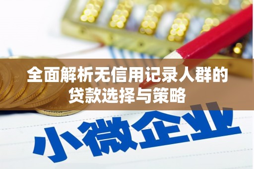 肥乡全面解析无信用记录人群的贷款选择与策略