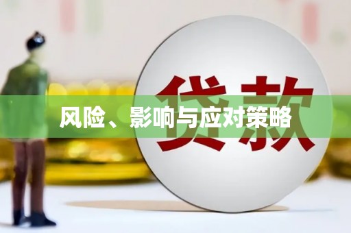 肥乡风险、影响与应对策略