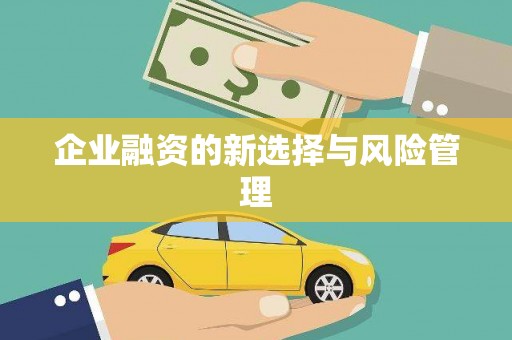 肥乡企业融资的新选择与风险管理
