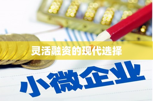 肥乡灵活融资的现代选择