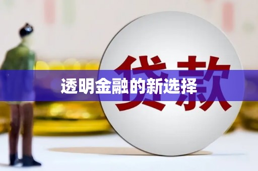 肥乡透明金融的新选择