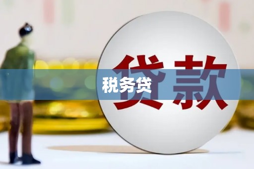 肥乡税务贷
