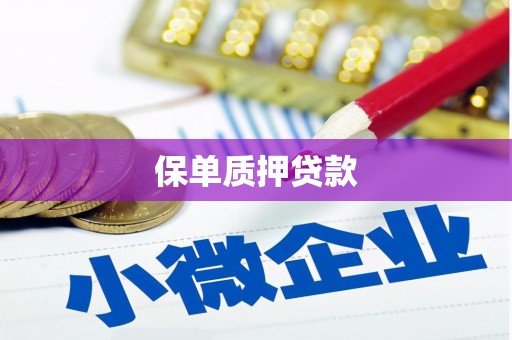 肥乡保单质押贷款