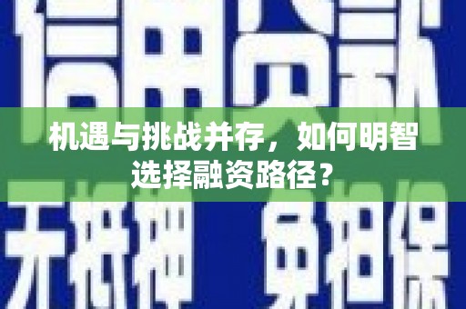 肥乡机遇与挑战并存，如何明智选择融资路径？