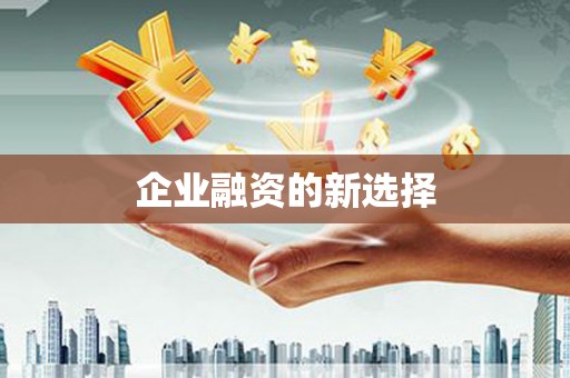 肥乡企业融资的新选择