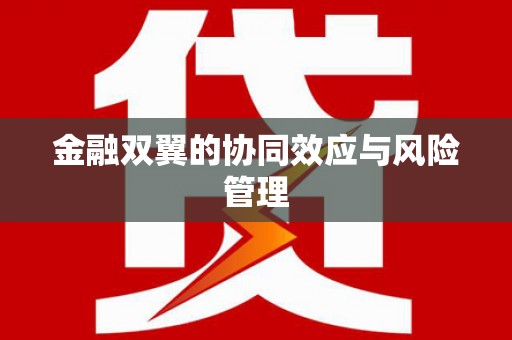 肥乡金融双翼的协同效应与风险管理
