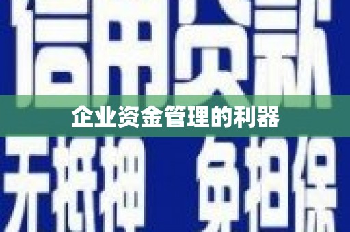 肥乡企业资金管理的利器