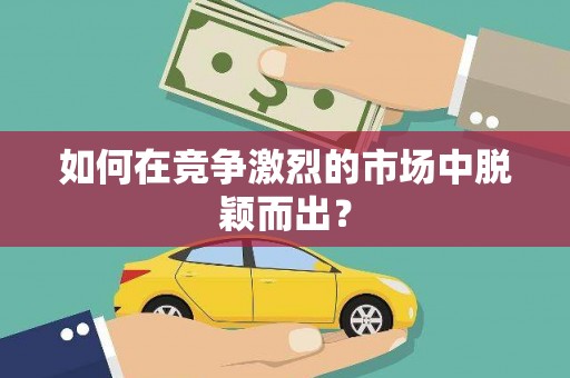 肥乡如何在竞争激烈的市场中脱颖而出？
