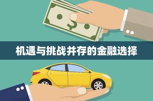 肥乡机遇与挑战并存的金融选择