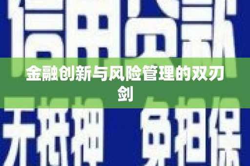 肥乡金融创新与风险管理的双刃剑