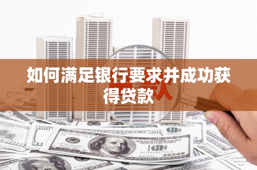 肥乡如何满足银行要求并成功获得贷款