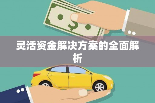 肥乡灵活资金解决方案的全面解析