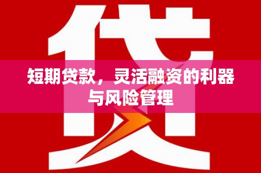 肥乡短期贷款，灵活融资的利器与风险管理