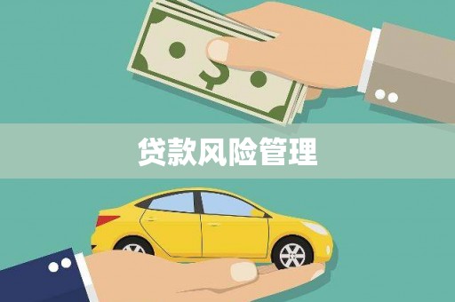 肥乡贷款风险管理