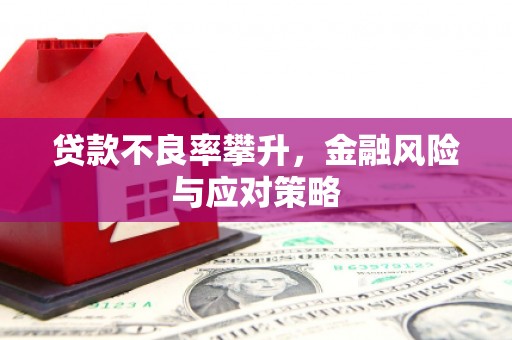 肥乡贷款不良率攀升，金融风险与应对策略