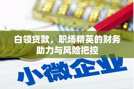 肥乡白领贷款，职场精英的财务助力与风险把控