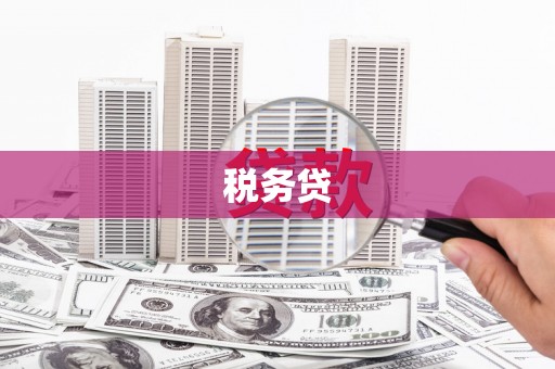 肥乡税务贷